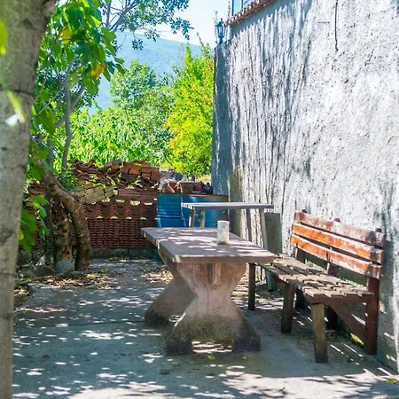 Laura فيلة موستار