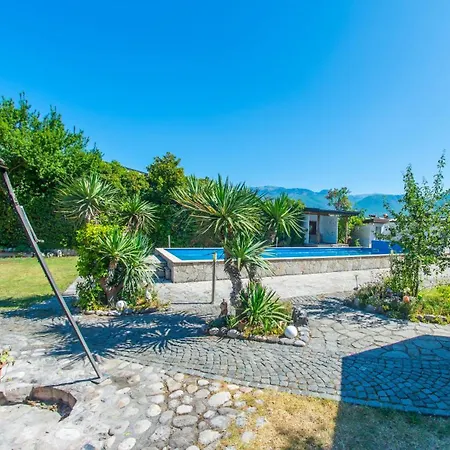 Laura فيلة موستار